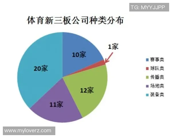 重庆极限运动队的防反策略解析与热点趋势探讨
